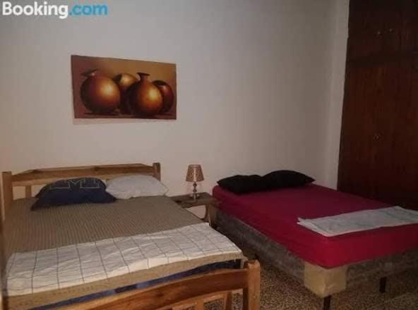 Casa Lucys Hostal Granada Buitenkant foto